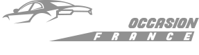 vehicule-occasion france logo footer