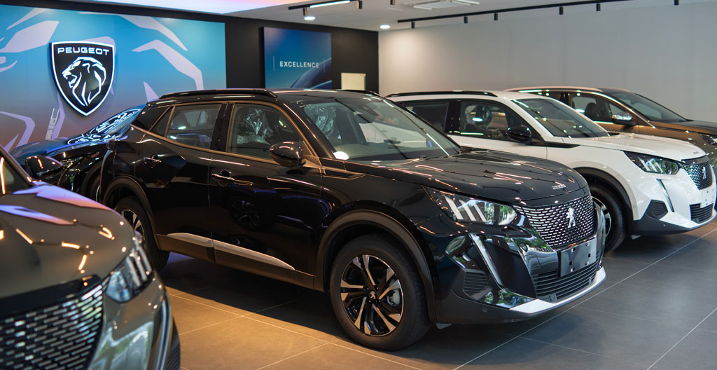 Rangée de véhicules différents côte à côte en showroom pour comparaison portes ouvertes